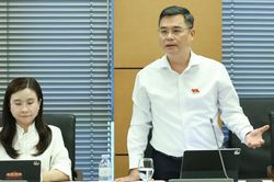 Lo ngại việc áp dụng tùy nghi 'tỷ lệ an toàn khác' đối với ngân hàng