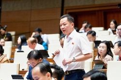 Lý do ĐBQH đề xuất đưa kim cương vào diện kinh doanh có điều kiện