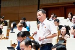 Lý do ĐBQH đề xuất đưa kim cương vào diện kinh doanh có điều kiện