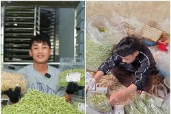 Từng vỡ nợ hơn 1,5 tỷ đồng, 9X Nghệ An làm lại với nông sản sấy