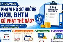 [INFOGRAPHIC] Từ 10/9/2026 vi phạm hồ sơ hưởng BHXH, BHTN bị xử phạt thế nào?