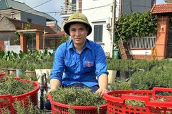 Bắc Ninh bố trí 190 tỷ đồng tiếp sức thanh niên khởi nghiệp