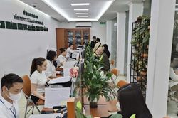Hà Nội tập trung hoàn thiện cơ sở dữ liệu đất đai trước ngày 25/8