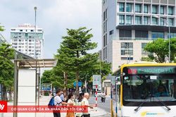 Đà Nẵng phê duyệt lộ trình chuyển đổi xe buýt điện
