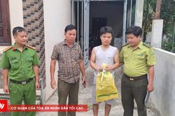 Giao nộp rắn hổ chúa quý hiếm cho cơ quan chức năng
