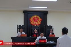 Vợ chồng c&ugrave;ng lĩnh &aacute;n v&igrave; sản xuất hơn 35.000 bao ph&acirc;n b&oacute;n giả