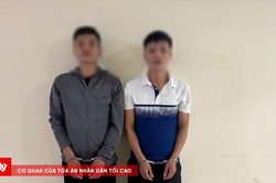 Bắt 2 đối tượng t&agrave;ng trữ, mua b&aacute;n chất ma t&uacute;y