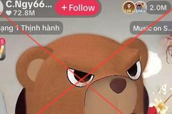Vì sao TikTok khoá phiên livestream của bà Nguyễn Phương Hằng?
