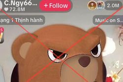 V&igrave; sao TikTok kh&oacute;a phi&ecirc;n livestream của b&agrave; Nguyễn Phương Hằng?