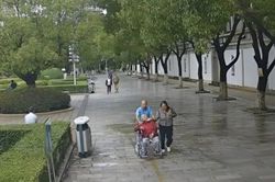 Cứu sống cụ bà 94 tuổi rồi lặng lẽ rời đi, chàng trai khiến gia đình mất nhiều ngày tìm ân nhân