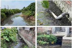 Hàng chục hộ chăn nuôi chấm dứt ngay tình trạng xả thải gây ô nhiễm sau kiến nghị của Viện kiểm sát