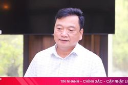 Hà Tĩnh thúc đẩy phát triển bền vững cây dó bầu