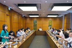 Đại biểu Quốc hội bàn về việc thành lập thành phố Quảng Ninh, thành phố Bắc Ninh