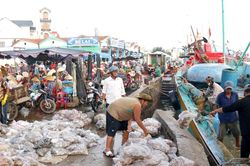 Lâm Đồng vào cao điểm vụ cá Nam, ngư dân phấn khởi vươn khơi