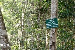 Bất cập việc ngừng giao khoán quản lý, bảo vệ rừng ở Nam Cát Tiên