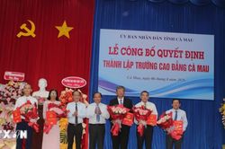 C&agrave; Mau hợp nhất 4 trường cao đẳng, tăng quy m&ocirc; đ&agrave;o tạo nh&acirc;n lực chất lượng cao