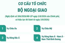 Cơ cấu tổ chức của Bộ Ngoại giao