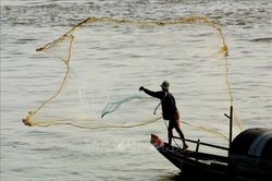 Campuchia, ILO triển khai kế hoạch bảo vệ lao động di cư