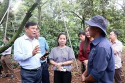 Th&aacute;o gỡ 'điểm nghẽn' về m&atilde; số v&ugrave;ng trồng sầu ri&ecirc;ng - B&agrave;i cuối: 'Cuộc đua' tốc độ trước thềm m&ugrave;a vụ