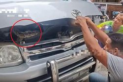 Vừa mở nắp ca-pô, người đàn ông chết lặng trước cảnh tượng 'đáng sợ' bên trong xe