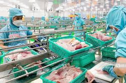 Tập đo&agrave;n Sao Mai b&aacute;o l&atilde;i tăng gần 3 lần trong nửa đầu năm 2026
