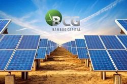 Bamboo Capital bị hủy tư c&aacute;ch c&ocirc;ng ty đại ch&uacute;ng