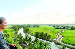 20 năm lang bạt, nuôi niềm mong mỏi ngày về cố hương
