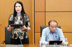 Đại biểu Trần Lan Phương: Đề nghị làm rõ cơ chế điều chỉnh tỷ lệ an toàn của ngân hàng