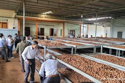 Đắk Lắk: Th&uacute;c đẩy khuyến c&ocirc;ng, n&acirc;ng tầm chế biến s&acirc;u n&ocirc;ng sản