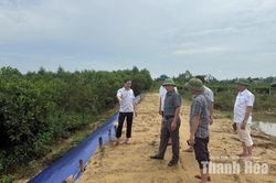 Sẵn s&agrave;ng phương &aacute;n ứng ph&oacute; ngập lụt, đảm bảo an to&agrave;n c&ocirc;ng tr&igrave;nh đ&ecirc; điều