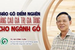 Tháo gỡ điểm nghẽn nâng cao giá trị gia tăng cho ngành gỗ