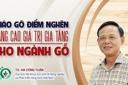 Tháo gỡ điểm nghẽn nâng cao giá trị gia tăng cho ngành gỗ