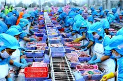 Xuất, nhập khẩu hàng hóa duy trì đà tăng trưởng