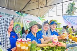Khuyến công hỗ trợ phát triển