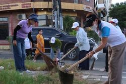 Một phường xanh bắt đầu từ những hành động nhỏ