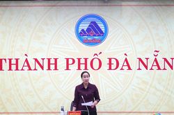 Đ&agrave; Nẵng triển khai chiến dịch 100 ng&agrave;y cao điểm kh&aacute;m sức khỏe miễn ph&iacute; cho người d&acirc;n