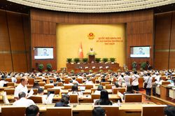 Kỳ họp không thường lệ thứ Nhất, Quốc hội khóa XVI: Đoàn Đại biểu Quốc hội thành phố Đồng Nai thảo luận về Dự án Luật sửa đổi, bổ sung một số điều của Luật Kiến trúc