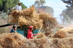 Liên hợp quốc cảnh báo tác động của El Nino