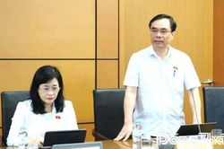 Đoàn Đại biểu Quốc hội tỉnh Đồng Tháp: Thảo luận, góp ý hoàn thiện các quy định về kiến trúc và công tác phòng, chống tội phạm