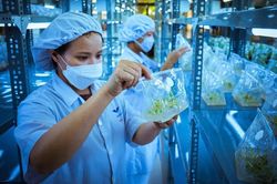Đẩy mạnh phát triển công nghệ sinh học - Kỳ 1: Chủ trương mở đường cho động lực tăng trưởng mới