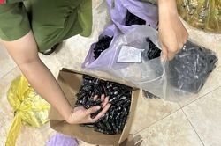 Cạm bẫy ma túy mới 'pod chill' - Bài 1: Khi ma túy Etomidate khoác vỏ bọc 'pod chill'