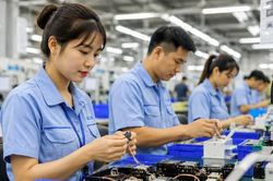 Đề xuất 2 phương &aacute;n nghỉ Tết Nguy&ecirc;n đ&aacute;n 2027: Người lao động doanh nghiệp được &aacute;p dụng thế n&agrave;o?