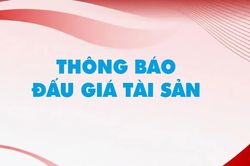 Công ty Đấu giá Hợp danh Lam Sơn Sài Gòn thông báo đấu giá tài sản
