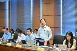 Đại biểu Quốc hội tỉnh góp ý vào chủ trương thành lập thành phố trực thuộc Trung ương và các dự án luật, nghị quyết
