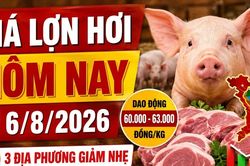 Giá lợn hơi hôm nay 6/8: Ba địa phương giảm nhẹ