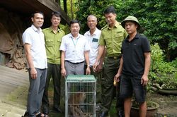Xã Tằng Loỏng bàn giao cá thể khỉ đuôi lợn cho Trung tâm Du lịch và Bảo tồn sinh vật Hoàng Liên