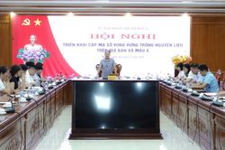 Xã Mậu A tổ chức hội nghị triển khai cấp mã số vùng rừng trồng nguyên liệu năm 2026