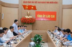 Ban Thường vụ Tỉnh ủy l&agrave;m việc với Tập đo&agrave;n C&ocirc;ng nghệ CMC