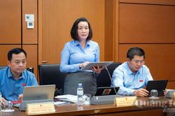 Đoàn đại biểu Quốc hội tỉnh đóng góp nhiều nội dung quan trọng về phát triển đô thị và hạ tầng chiến lược quốc gia