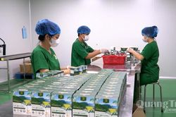 To&agrave;n tỉnh c&oacute; 947 doanh nghiệp được th&agrave;nh lập mới